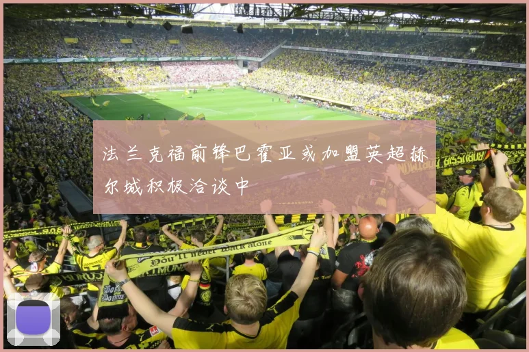 法兰克福前锋巴霍亚或加盟英超赫尔城积极洽谈中